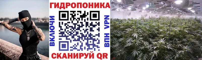 Канабис план  Кирсанов 